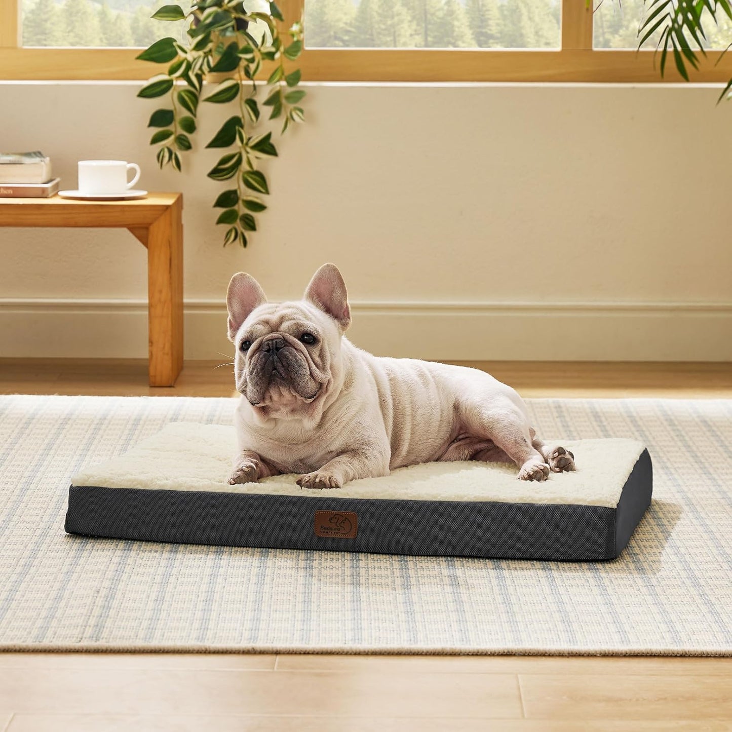 Dog Bed Medium Size Dog - Comfy Flat Puppy Beds with Removable Washable Cover, Orthopedic Egg Crate Foam Pet Mat, Suitable for Pet up to 30 Lbs