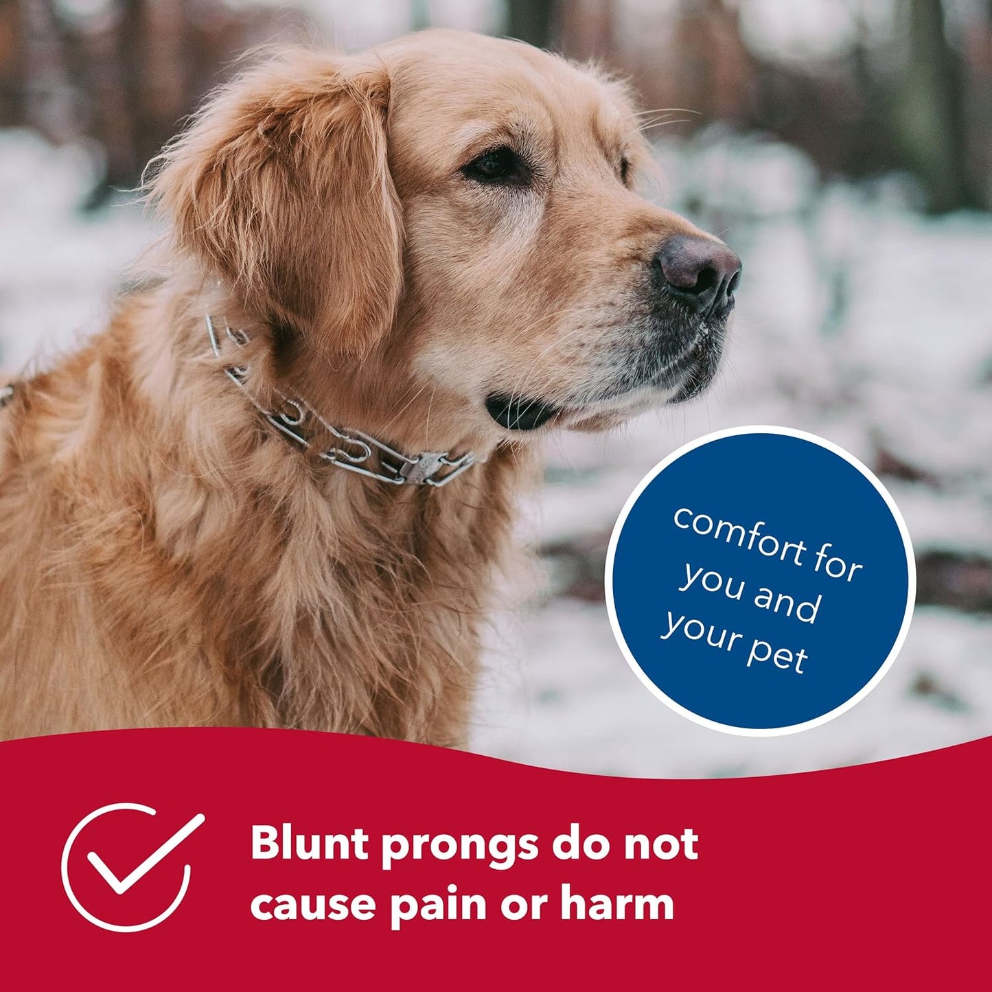 - Ultra-Plus Prong Dog Training Collar - Chrome - 3.8 Mm X 22" Neck Size; 25" Chain Length