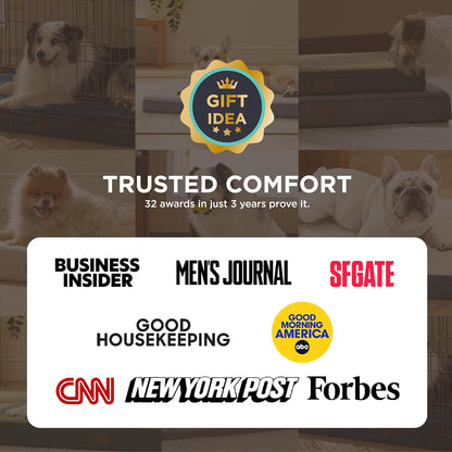 Dog Bed Medium Size Dog - Comfy Flat Puppy Beds with Removable Washable Cover, Orthopedic Egg Crate Foam Pet Mat, Suitable for Pet up to 30 Lbs