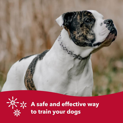 - Ultra-Plus Prong Dog Training Collar - Chrome - 3.8 Mm X 22" Neck Size; 25" Chain Length