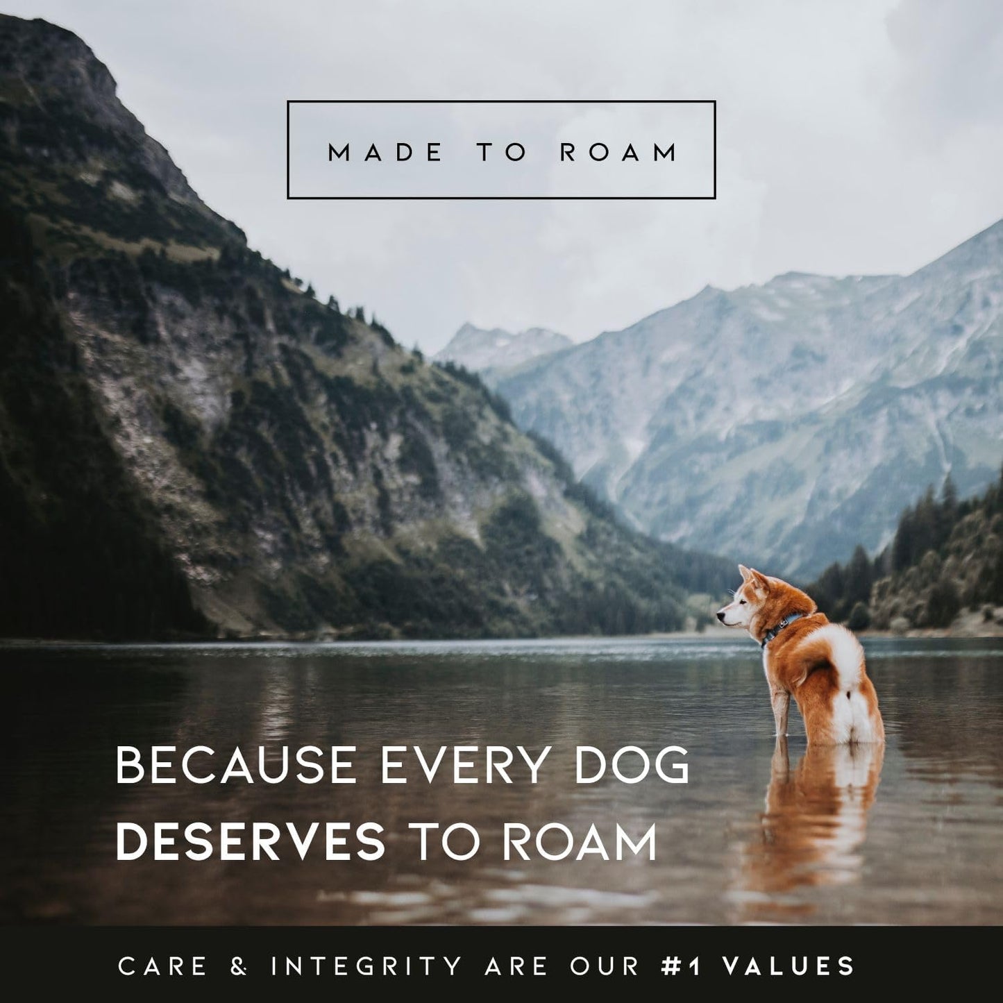 Made to  Premium Dog Collar - Adjustable Heavy Duty Nylon Collar with Quick-Release Metal Buckle (Oregon Haze, Classic Size 0)