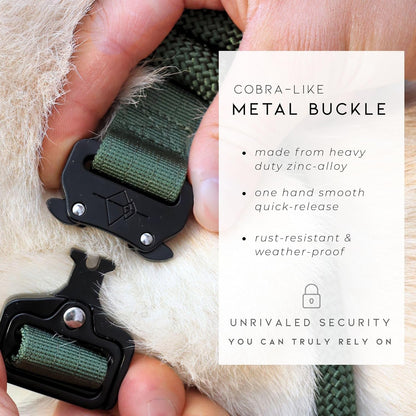 Made to  Premium Dog Collar - Adjustable Heavy Duty Nylon Collar with Quick-Release Metal Buckle (Oregon Haze, Classic Size 0)