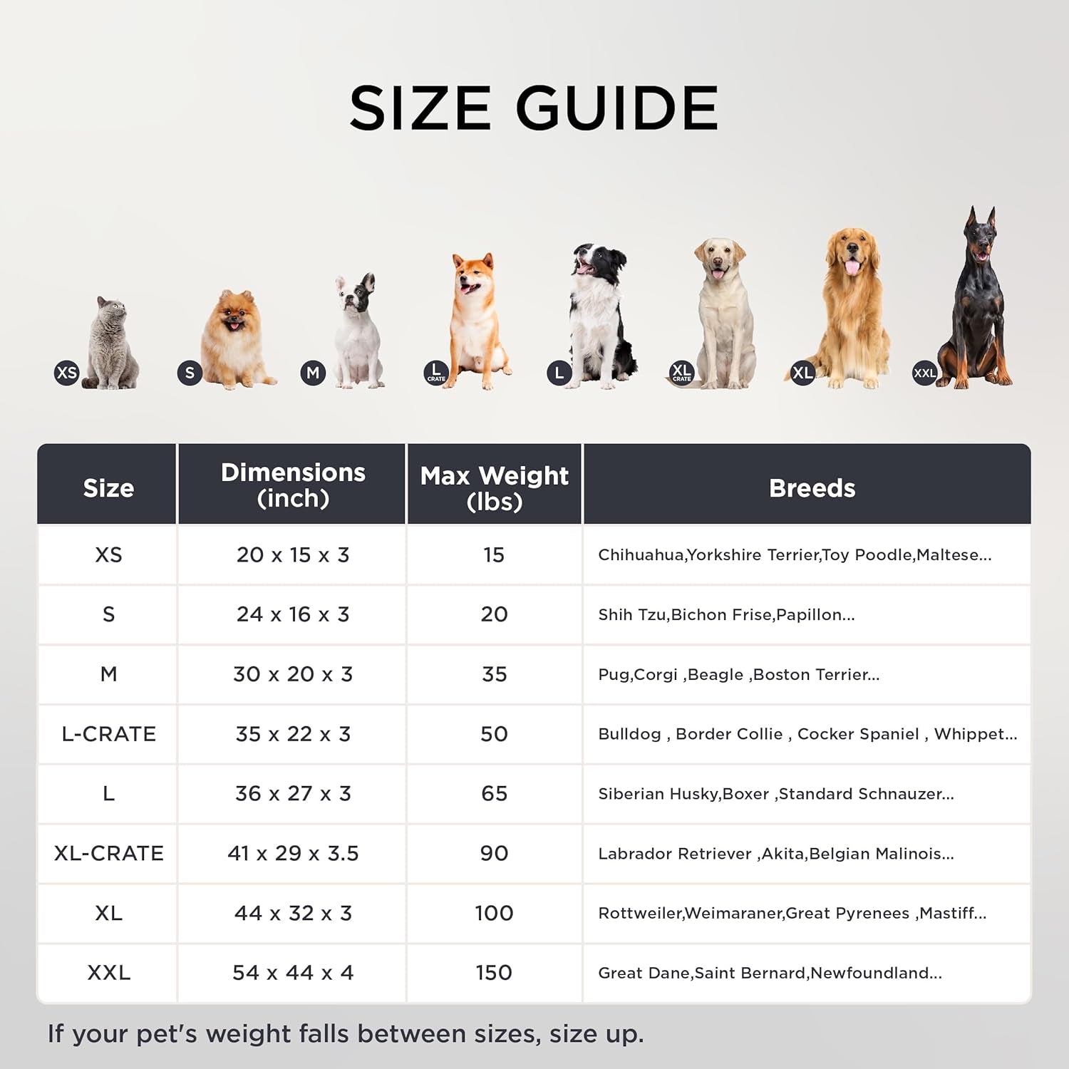 Dog Bed Medium Size Dog - Comfy Flat Puppy Beds with Removable Washable Cover, Orthopedic Egg Crate Foam Pet Mat, Suitable for Pet up to 30 Lbs