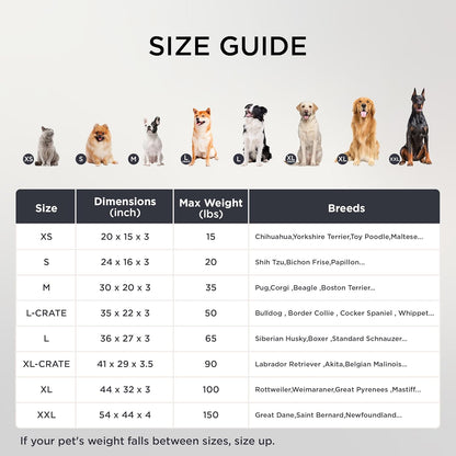 Dog Bed Medium Size Dog - Comfy Flat Puppy Beds with Removable Washable Cover, Orthopedic Egg Crate Foam Pet Mat, Suitable for Pet up to 30 Lbs