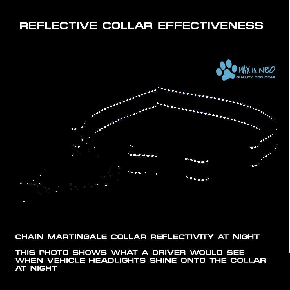 Stainless Steel Chain Martingale Collar - We Donate to a Dog Rescue for Every Collar Sold (Medium, Pink)